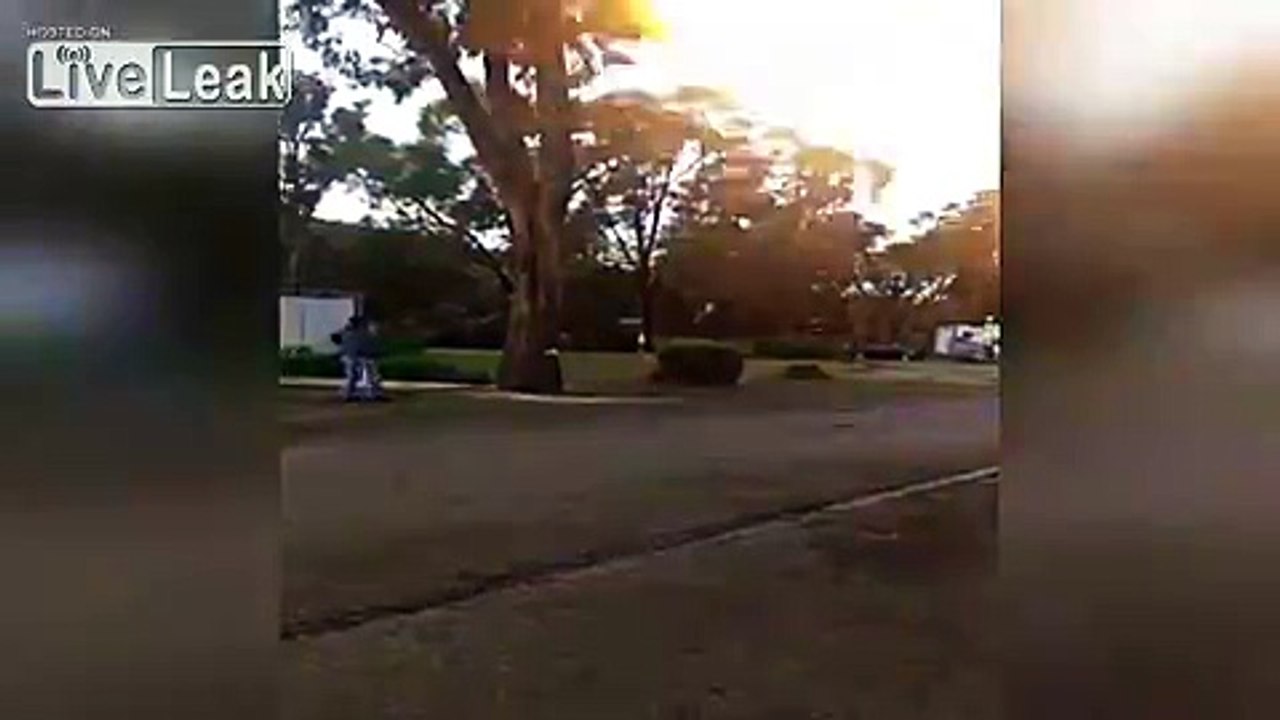 Il se rate totalement lors de l'abattage d'un arbre et explose un mobil-home