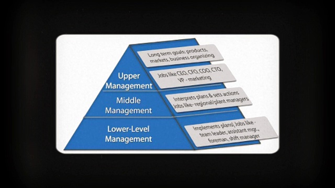 Job_Hierarchy_in_an_IT_company_Sjain_Ventures