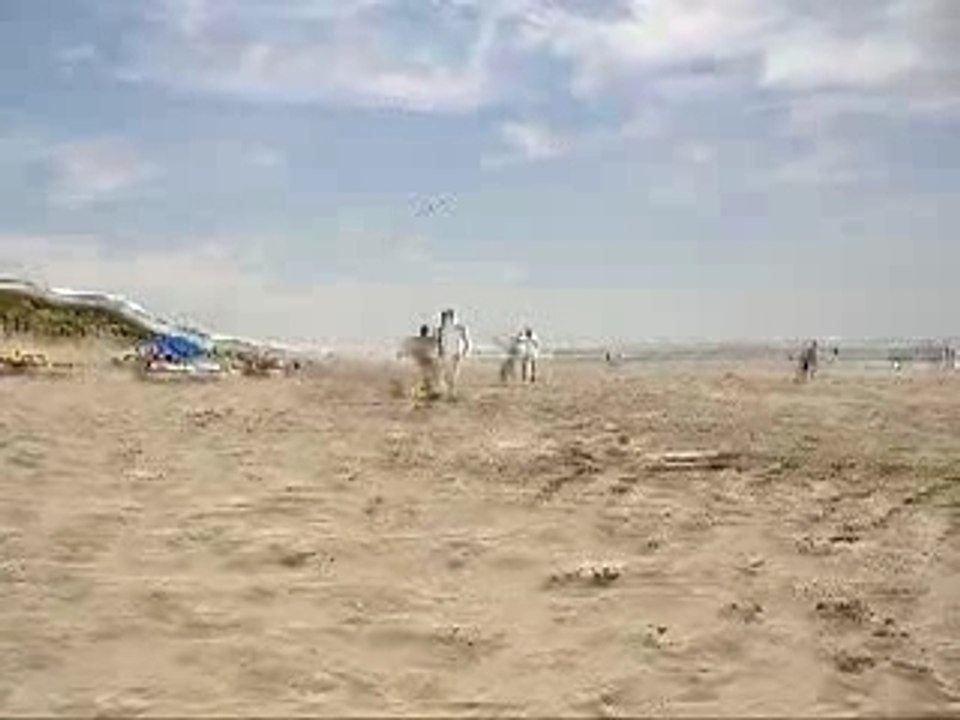 surf