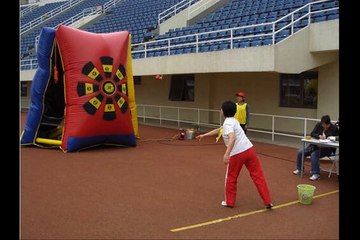 Inflatable Dart Board