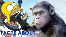 13 Planet der Affen PARODIEN die IHR kennen solltet!