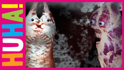 Une Boucherie Hantée | Mr Weebl Originals