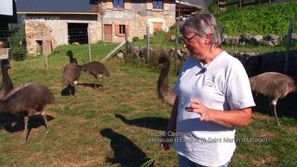 VOYONS VOIR - 13 OCTOBRE 2016 - Voyons Voir  - TéléGrenoble