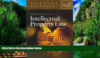 Big Deals  Principles of Intellectual Property Law (Concise Hornbooks)  Best Seller Books Most