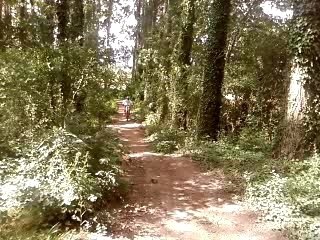 dany cr 125