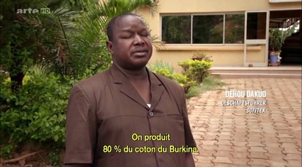 coton ogm burkina