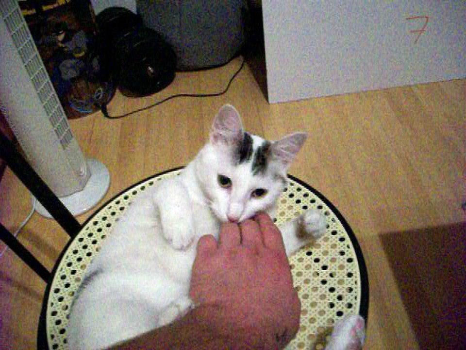 Vinzent am 12.10.2016