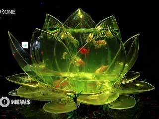 [Nyûsu Show] L’Edo Art Aquarium