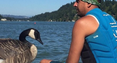 Boğulmaktan Kurtardığı Kaz, Can Yoldaşı Oldu