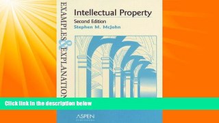 FULL ONLINE  Intellectual Property (Examples   Explanations)