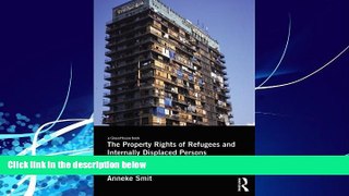 Big Deals  The Property Rights of Refugees and Internally Displaced Persons: Beyond Restitution
