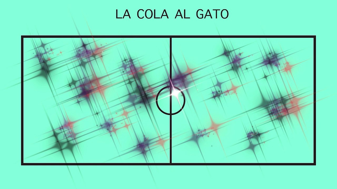 LA COLA AL GATO | Juegos Educación Física