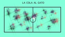 LA COLA AL GATO | Juegos Educación Física