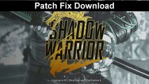 Shadow Warrior 2 low FPS Fix