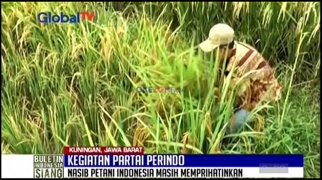 Hary Tanoe Lantik 690 DPRT Partai Perindo Se-Kabupaten Kuningan
