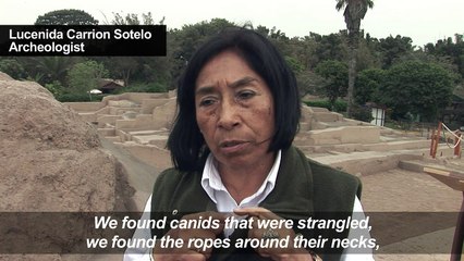 Beneath Peru zoo, traces of ancient dog sacrifices