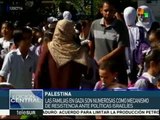 Gaza, una de las zonas más pobladas del mundo