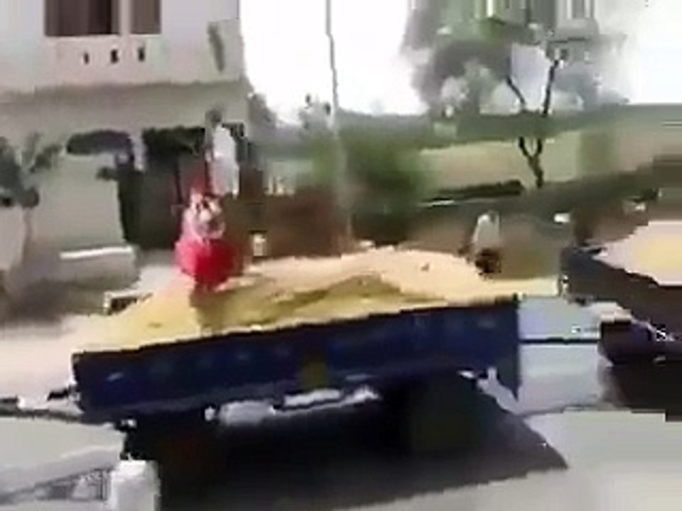 Ajuba