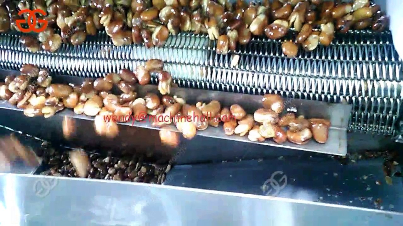 Automatic Snack Food Frying Production Line|Broad Beans Fryer Line|Vicia Faba Frying Machine Line