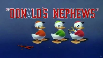 Donald Duck ! Donalds Nephews