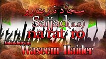 Sajjad a.s na rat ro recited by waseem hyder