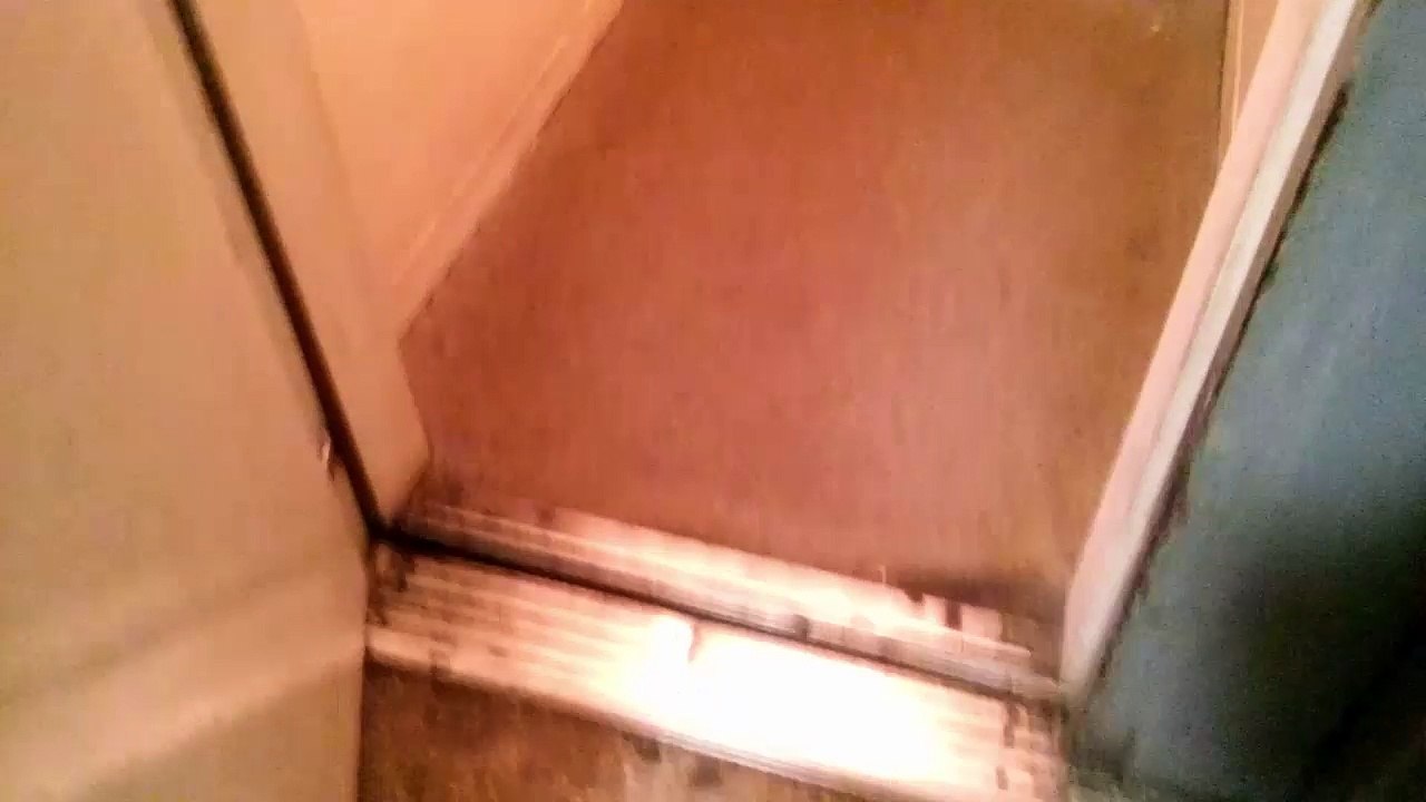 MOV_1823