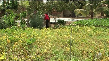 BLOGDOANDERSON | BMD: quinta-feira, 13 de outubro de 2016