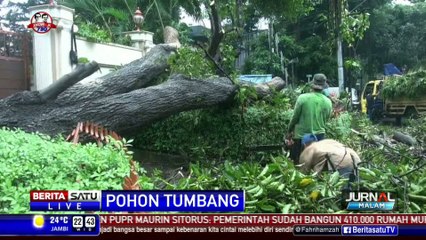 Pohon Besar Depan RS Abdi Waluyo Tumbang