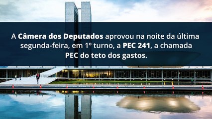 Vídeo: PEC 241