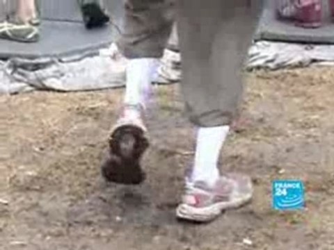 FRANCE24-EN-A-SUMMER-OF-FESTIVALS-ROCK-CONCERT-SZIGET