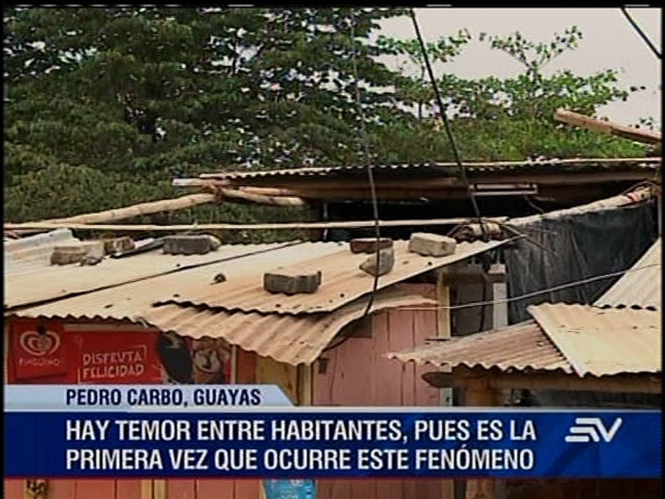 vendaval pedro carbo