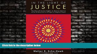 READ book  In the Light of Justice: The Rise of Human Rights in Native America and the UN