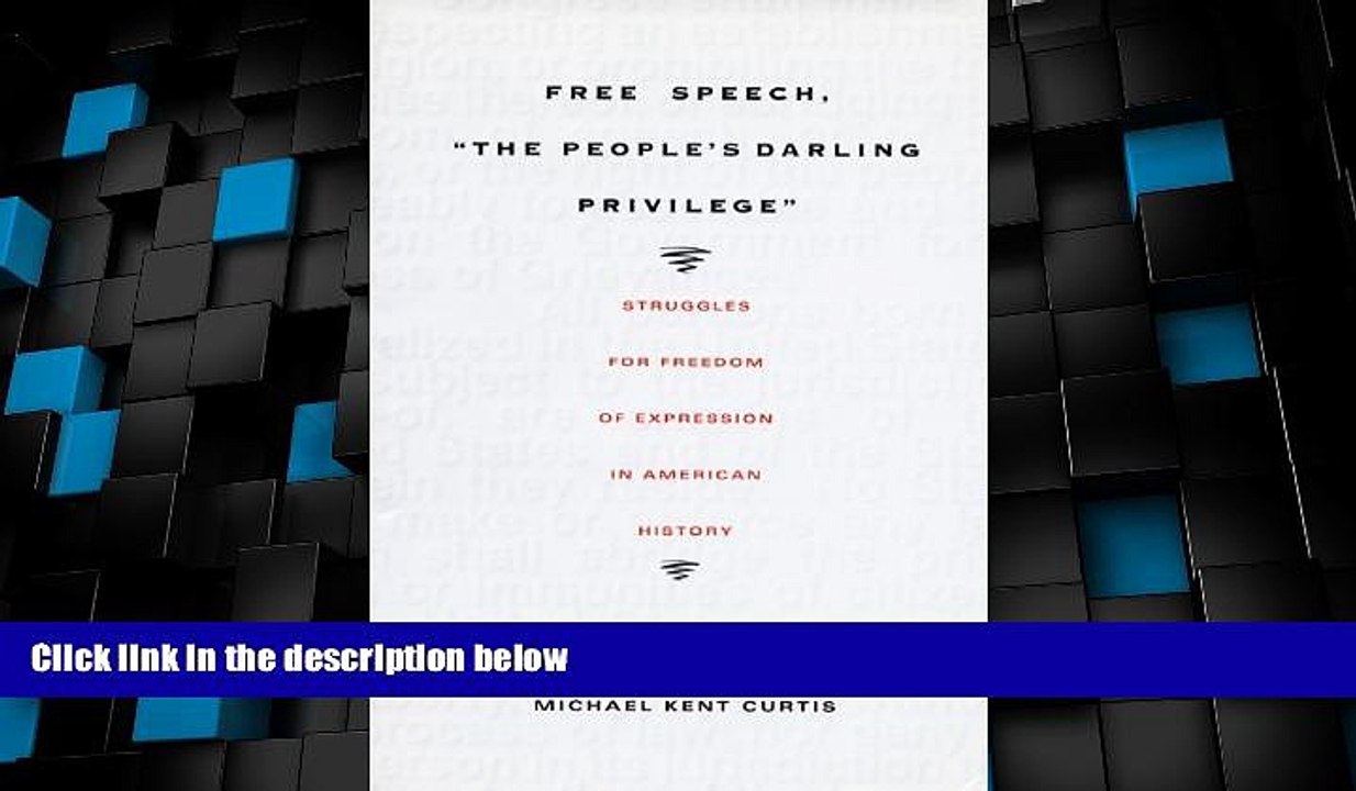 Big Deals  Free Speech,  The People s Darling Privilege: Struggles for Freedom of Expression in