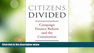 Big Deals  Citizens Divided: Campaign Finance Reform and the Constitution (The Tanner Lectures on