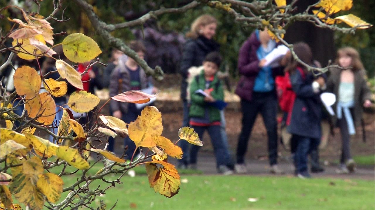 Could this spell the end for conkers?