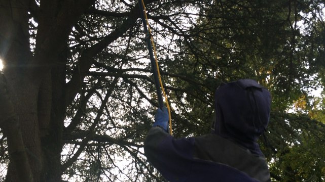 Sa mission : combattre les nids de frelons asiatiques