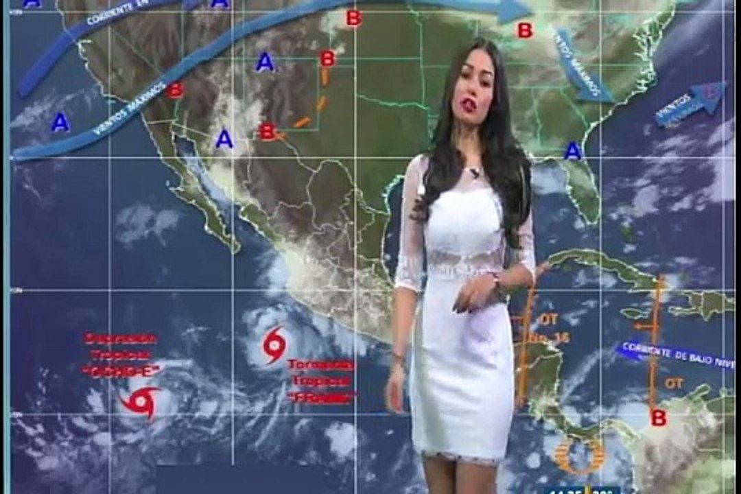 Evelyn Jimenez 1202
