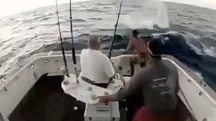 pescano un pesce ma si buttano in mare immediatamente