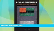 Big Deals  Beyond Citizenship: American Identity After Globalization  Best Seller Books Most Wanted