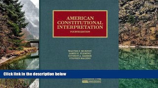 Deals in Books  American Constitutional Interpretation (University Casebook Series)  Premium