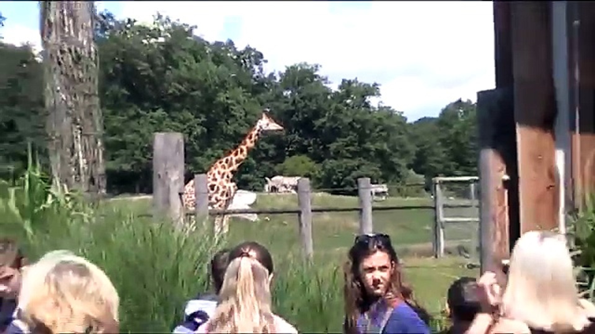 Zoo Opole Giraffe&Zebra