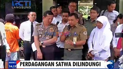 Polisi Ungkap Perdagangan Satwa Dilindungi