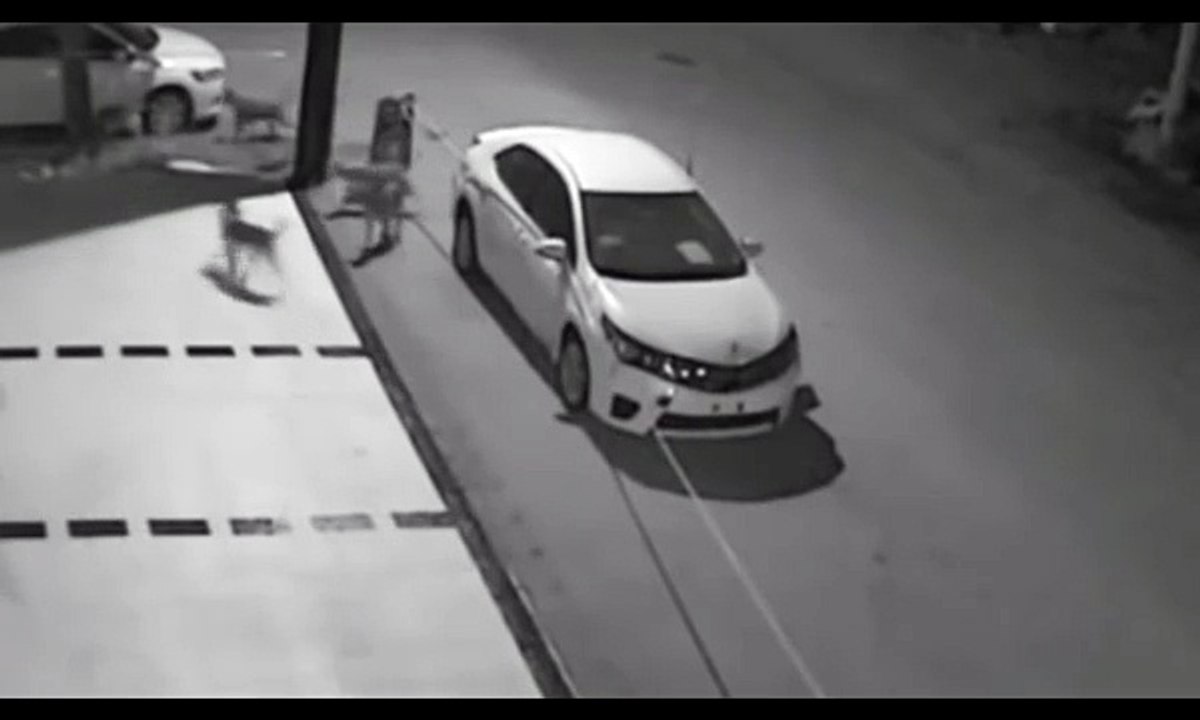 Stray Dogs Destroy Parked Car In Turkey