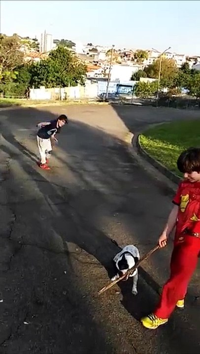 Go Fetch Fail