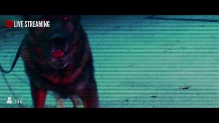 Framed: 24-Hour Live Broadcast Mystery