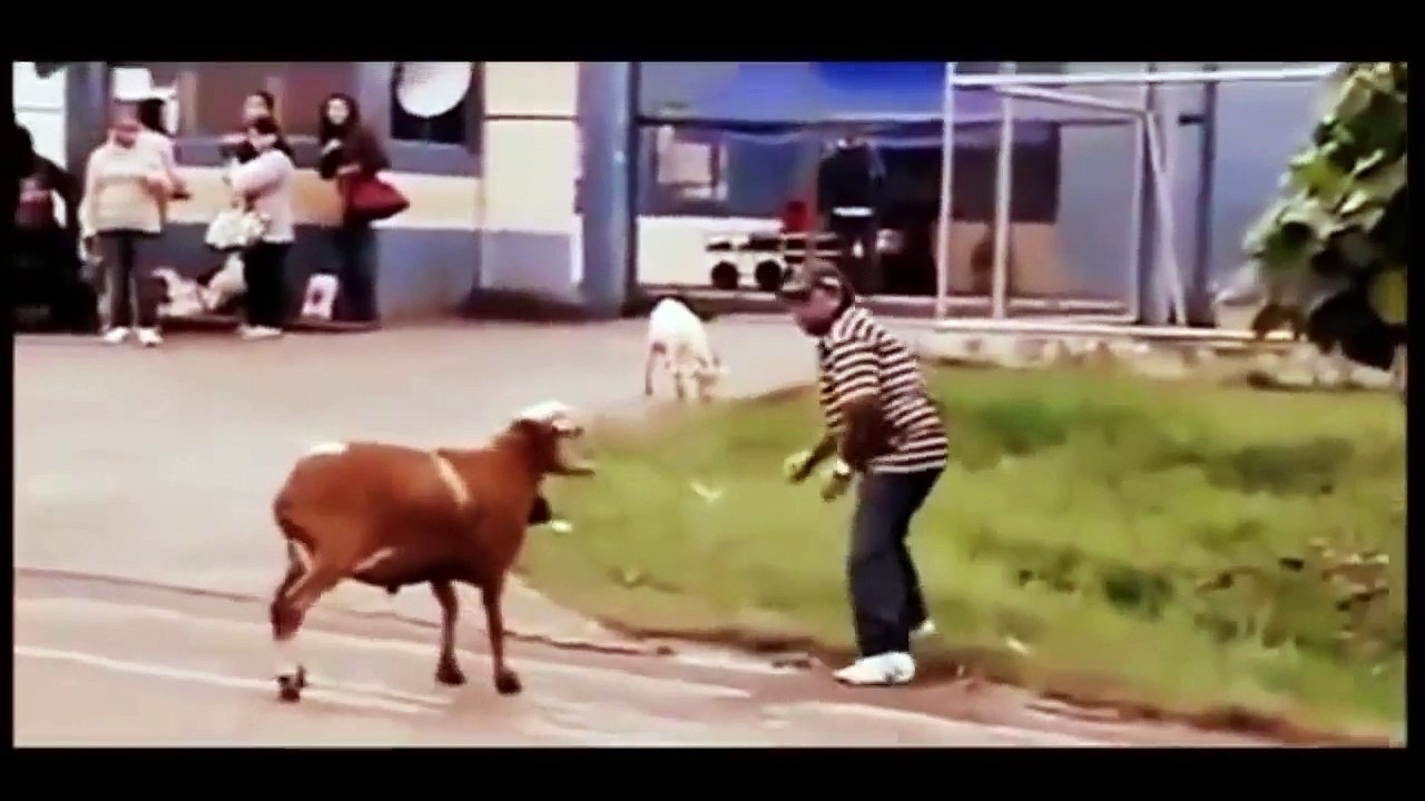 Indian Funny Videos Compilation 2015 -- Indian Whatsapp videos