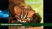 Choose Book ZooBorns Cats!: The Newest, Cutest Kittens and Cubs from the World s Zoos