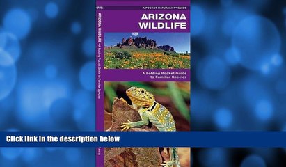 For you Arizona Wildlife: A Folding Pocket Guide to Familiar Species (Pocket Naturalist Guide