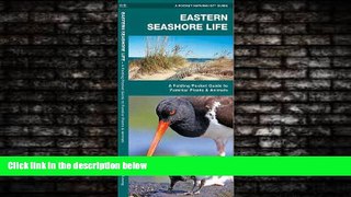 Enjoyed Read Eastern Seashore Life: A Folding Pocket Guide to Familiar Plants   Animals (Pocket