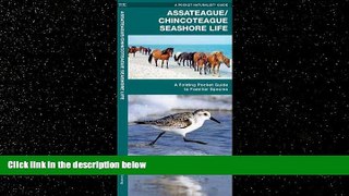 Enjoyed Read Assateague/Chincoteague Seashore Life: A Folding Pocket Guide to Familiar Species